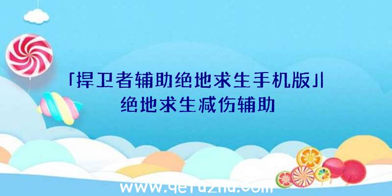 「捍卫者辅助绝地求生手机版」|绝地求生减伤辅助